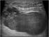 Ultrasoundcases.info