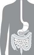 Product Picture for Gastroenterology