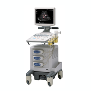 Product Picture for F31