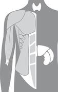 Product Picture for Radiology