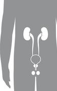 Product Picture for Urology
